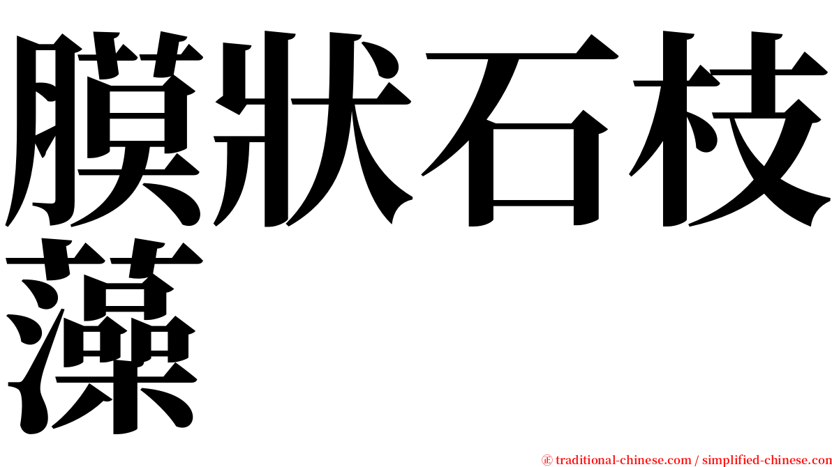 膜狀石枝藻 serif font