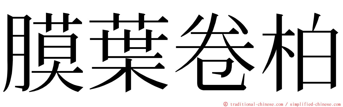 膜葉卷柏 ming font