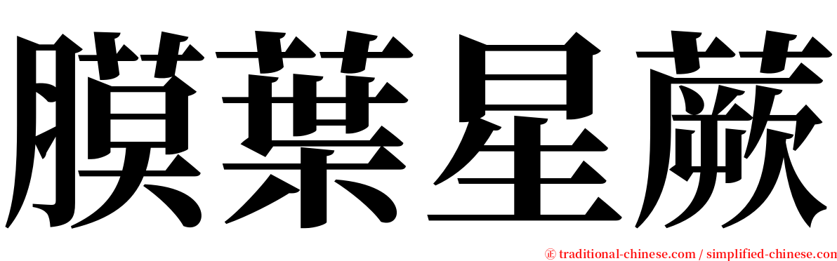 膜葉星蕨 serif font