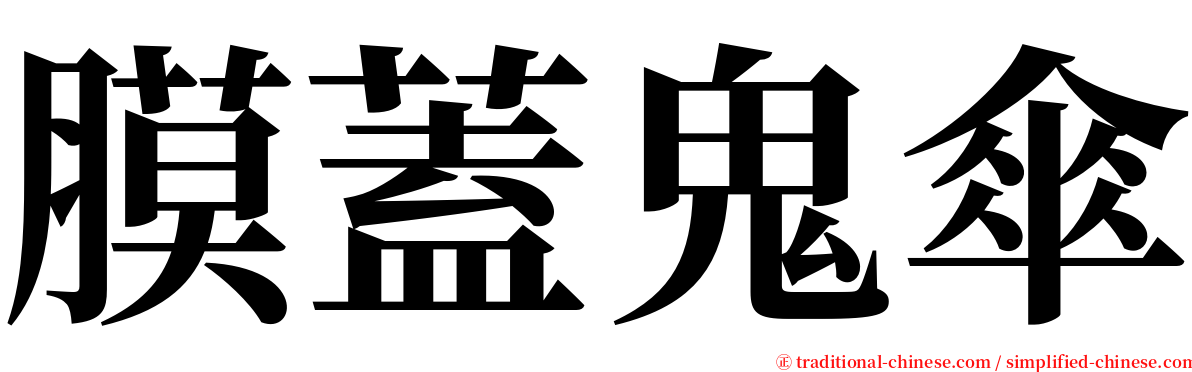 膜蓋鬼傘 serif font