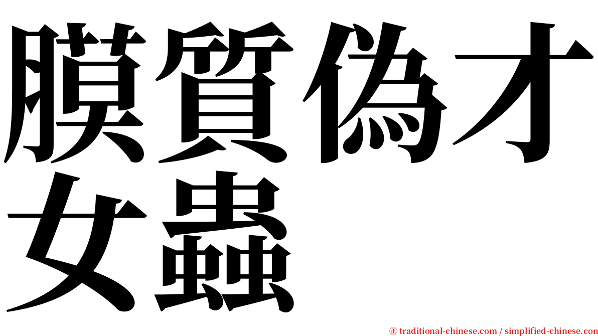 膜質偽才女蟲 serif font