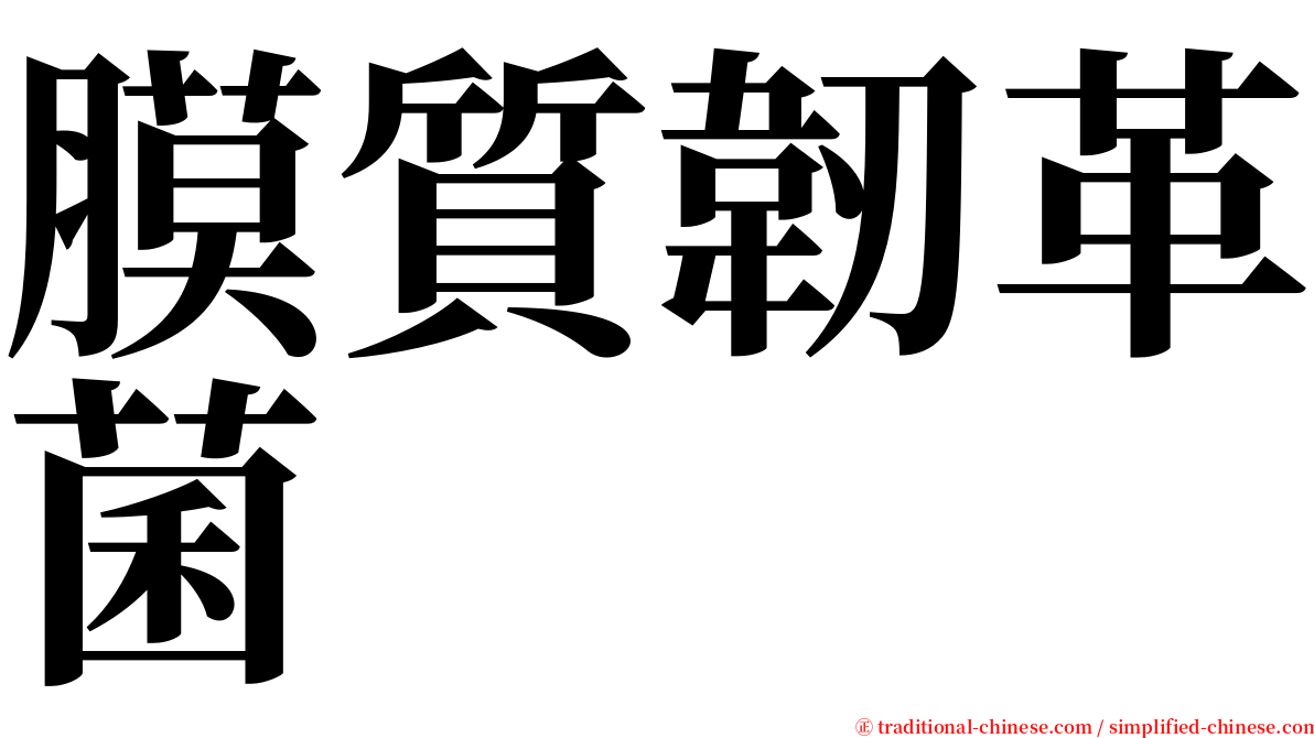 膜質韌革菌 serif font