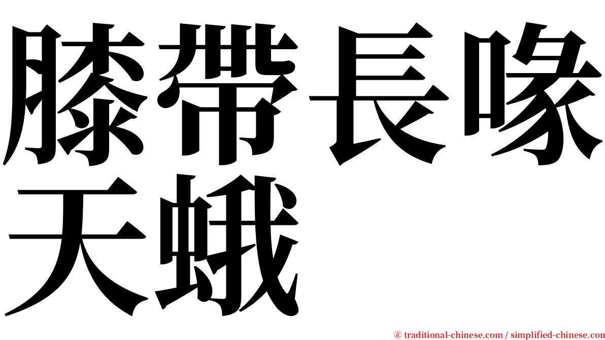 膝帶長喙天蛾 serif font