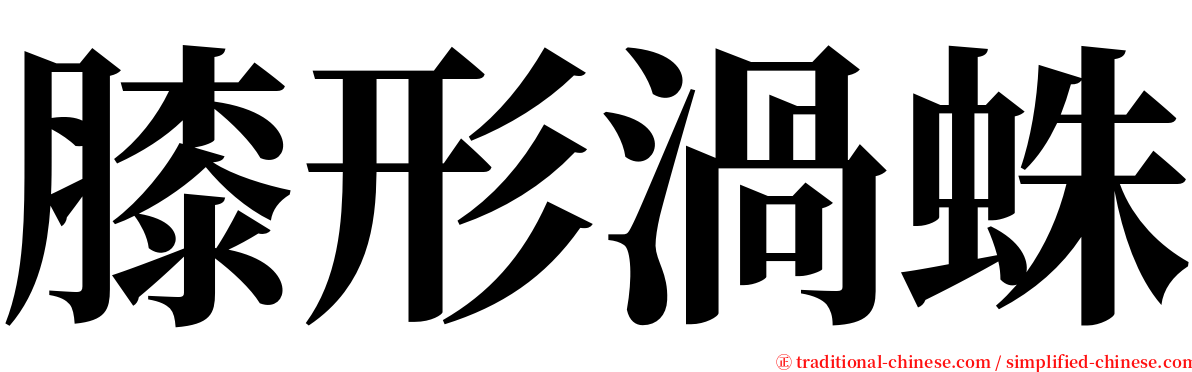 膝形渦蛛 serif font