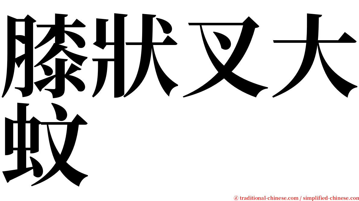 膝狀叉大蚊 serif font