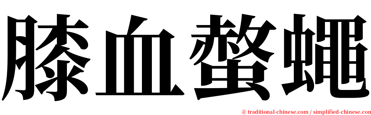 膝血螫蠅 serif font