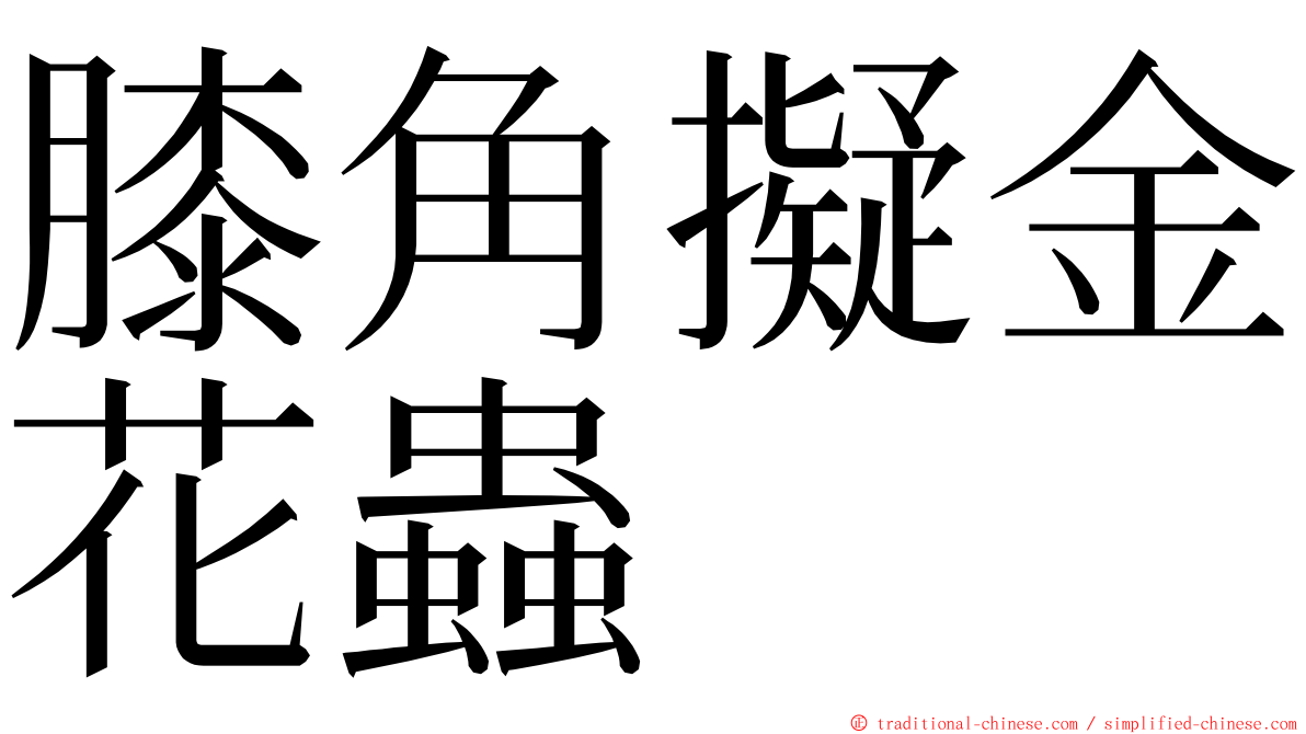 膝角擬金花蟲 ming font