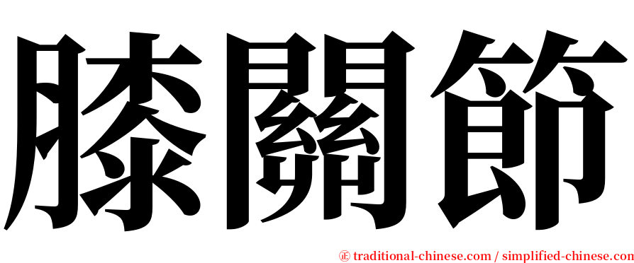 膝關節 serif font