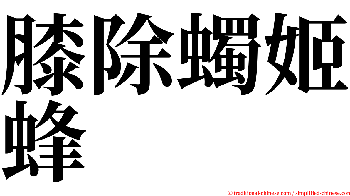 膝除蠋姬蜂 serif font