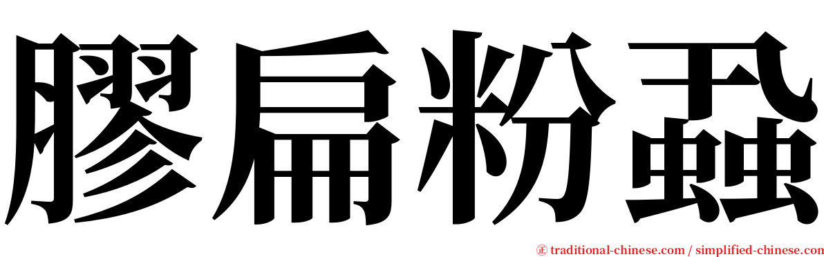 膠扁粉蝨 serif font