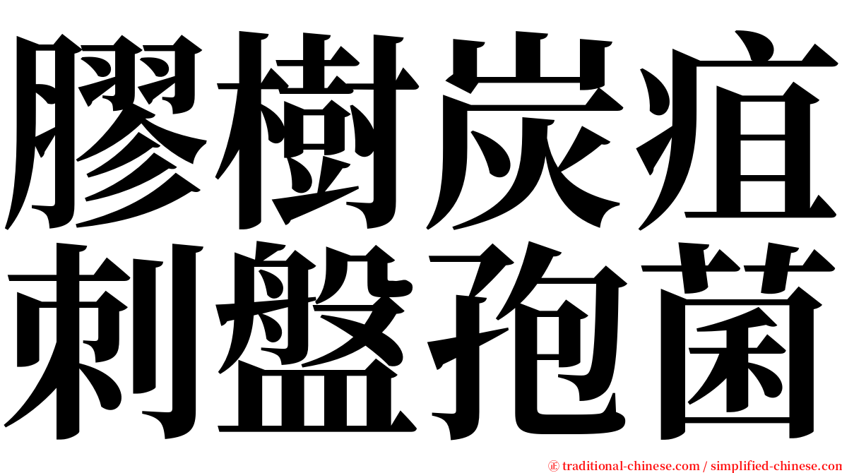 膠樹炭疽刺盤孢菌 serif font