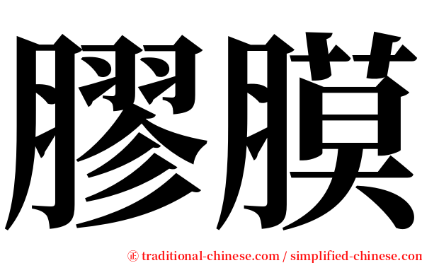 膠膜 serif font