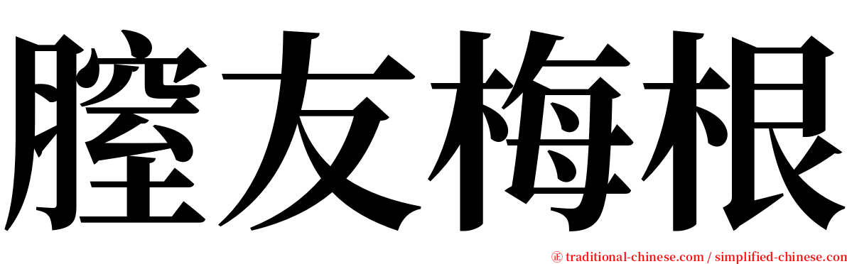 膣友梅根 serif font