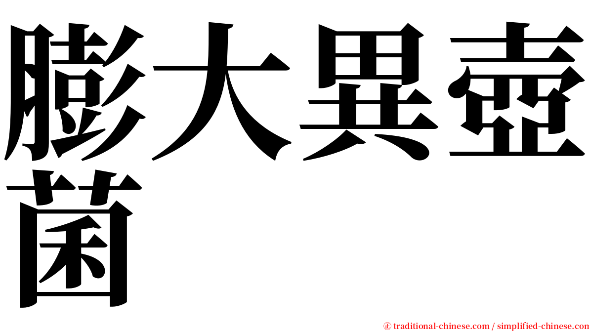 膨大異壺菌 serif font