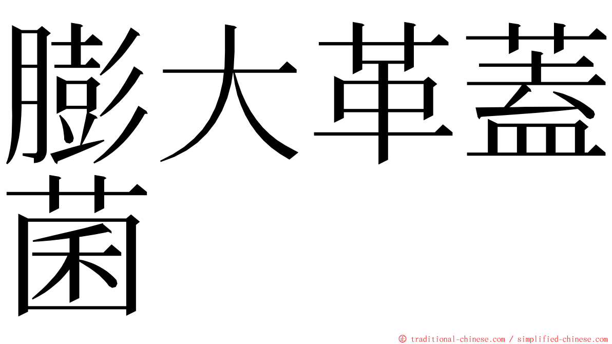 膨大革蓋菌 ming font