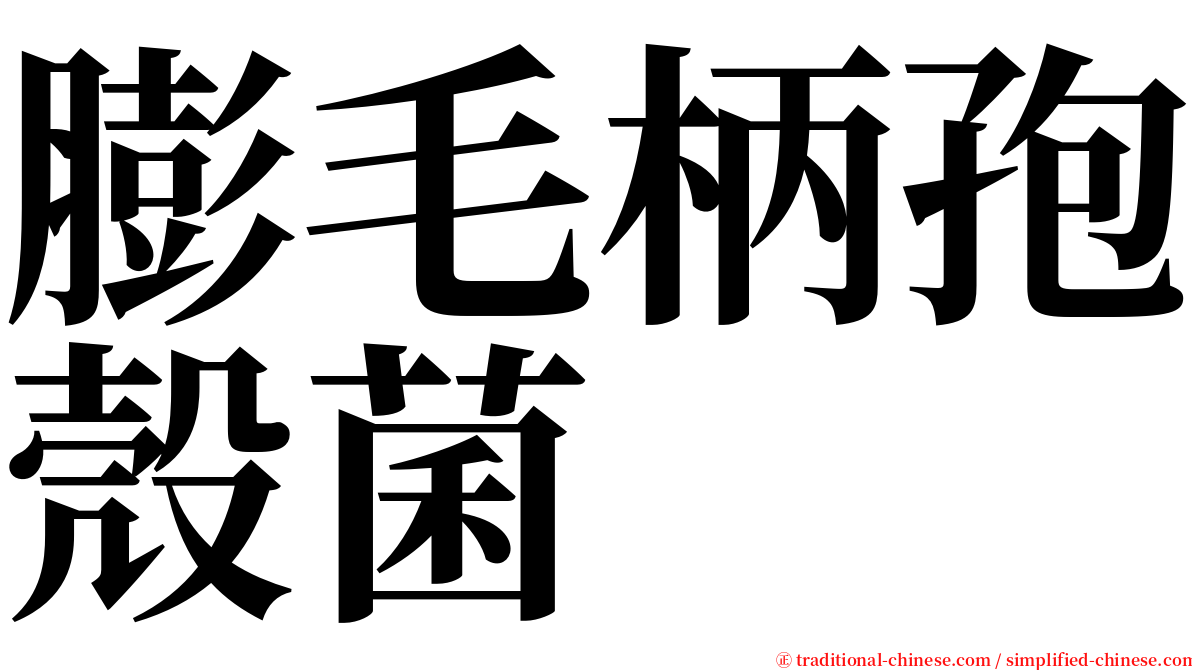 膨毛柄孢殼菌 serif font