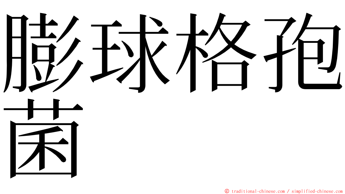 膨球格孢菌 ming font