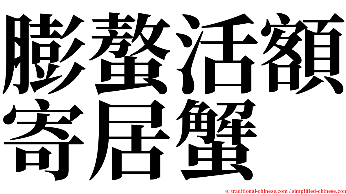 膨螯活額寄居蟹 serif font