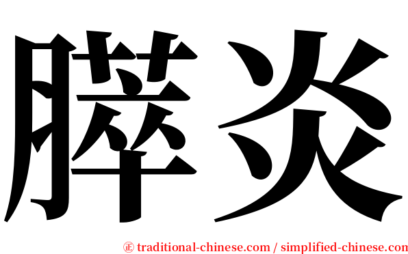 膵炎 serif font