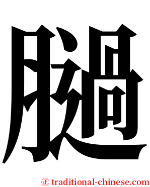 膼 serif font