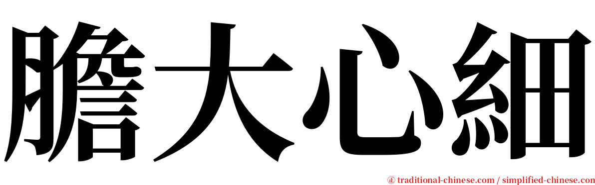 膽大心細 serif font