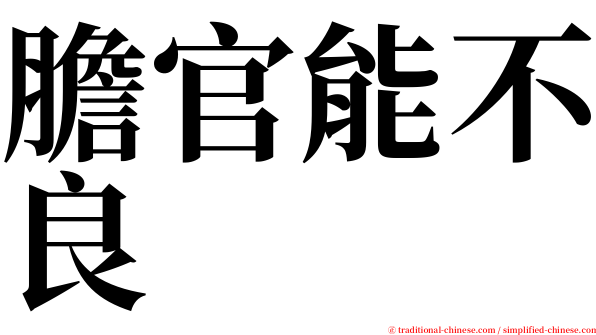 膽官能不良 serif font