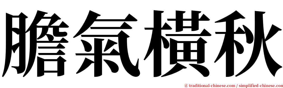 膽氣橫秋 serif font