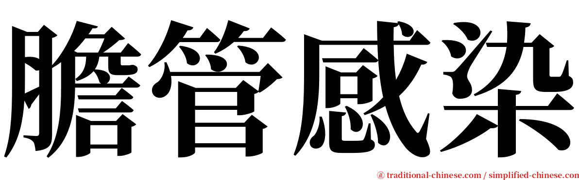 膽管感染 serif font