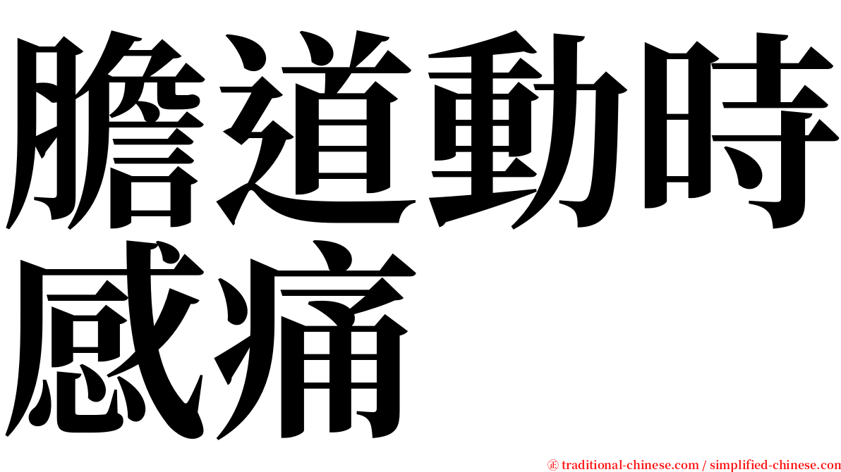 膽道動時感痛 serif font