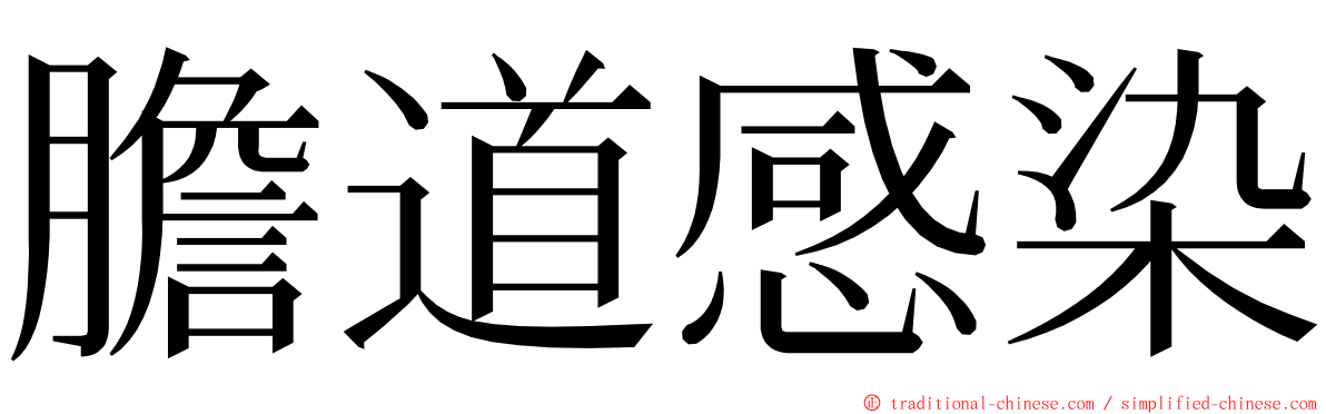 膽道感染 ming font