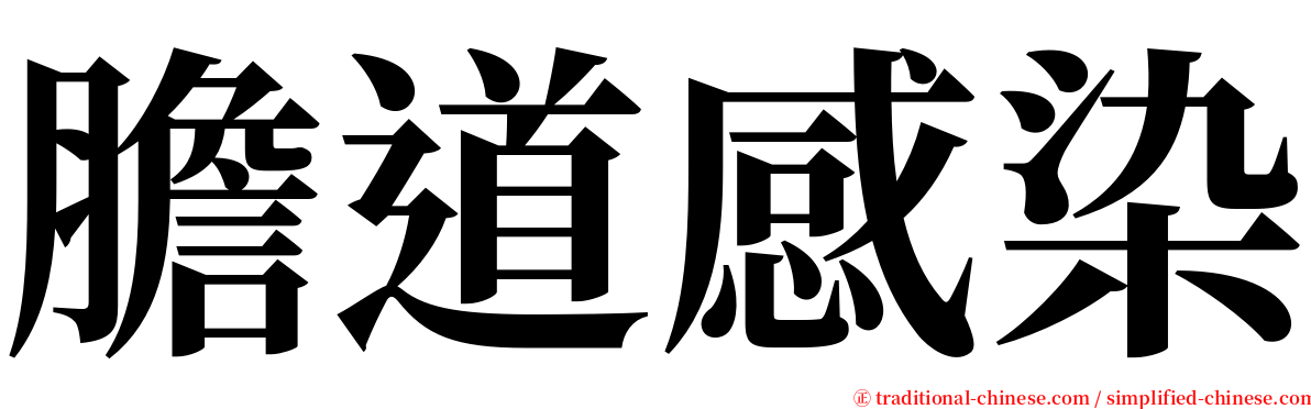 膽道感染 serif font