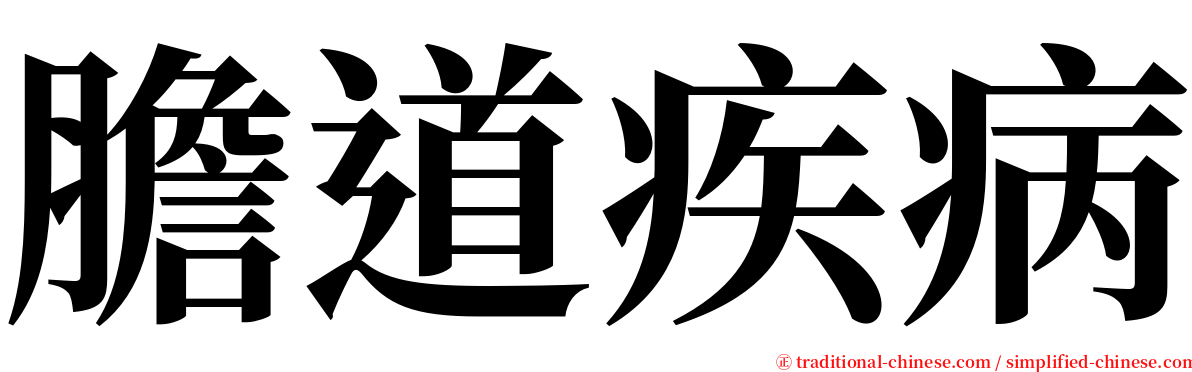 膽道疾病 serif font