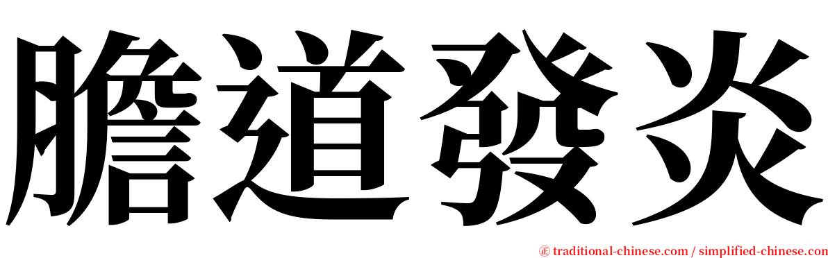 膽道發炎 serif font