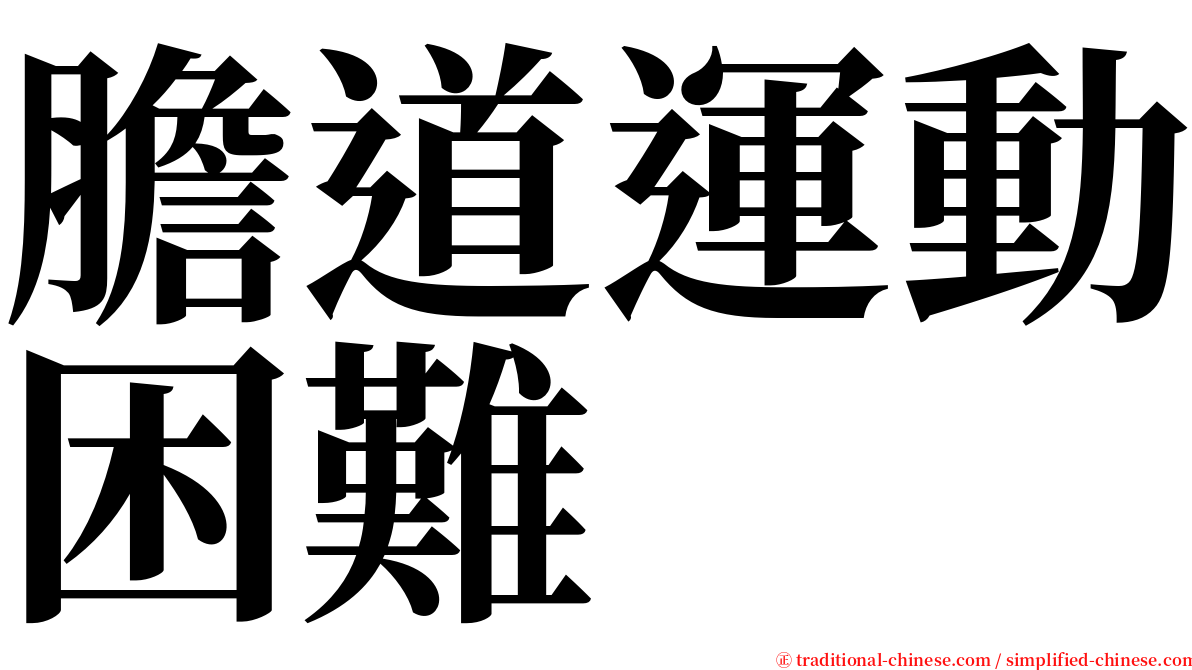 膽道運動困難 serif font