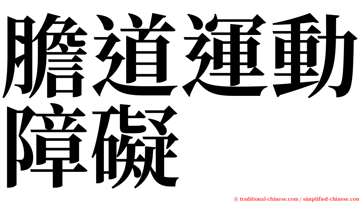 膽道運動障礙 serif font