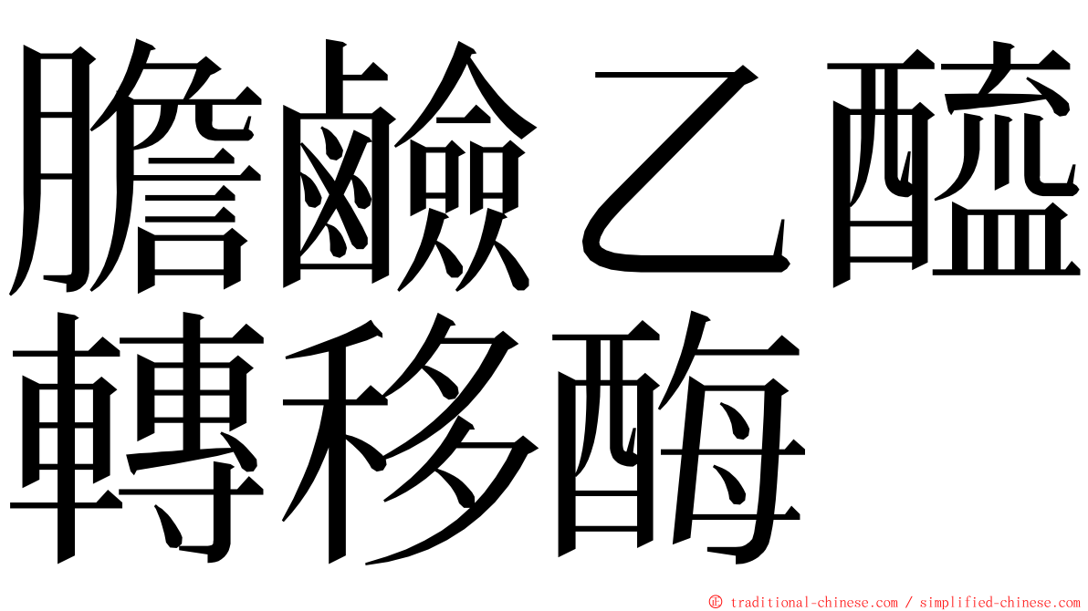 膽鹼乙醯轉移酶 ming font