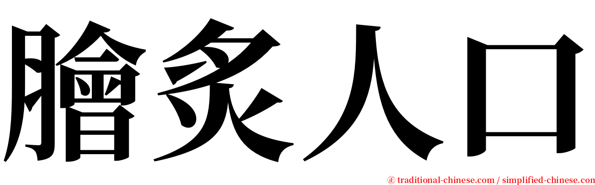 膾炙人口 serif font