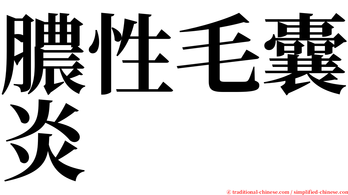 膿性毛囊炎 serif font