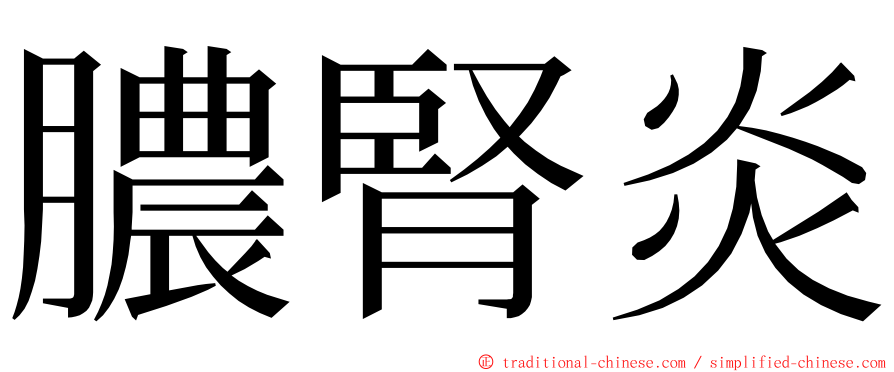 膿腎炎 ming font