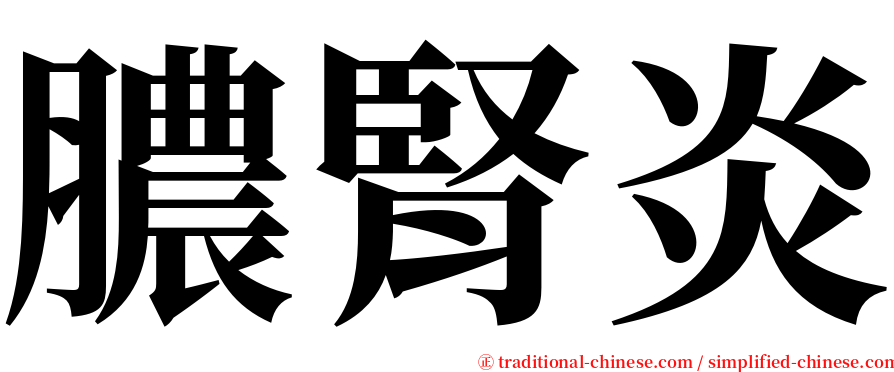 膿腎炎 serif font