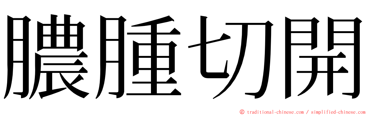 膿腫切開 ming font