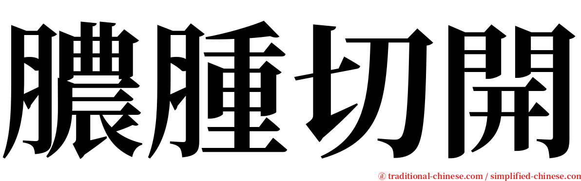 膿腫切開 serif font