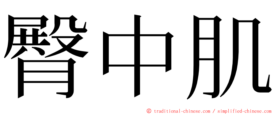 臀中肌 ming font