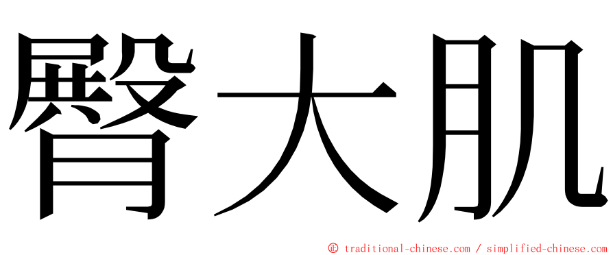 臀大肌 ming font