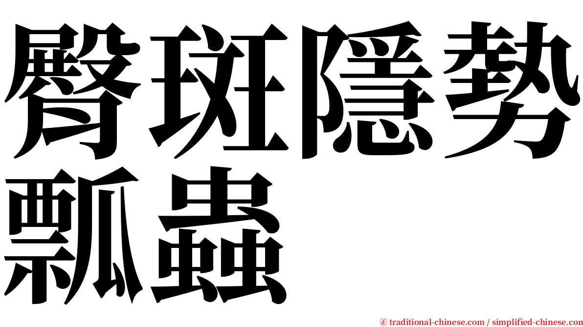 臀斑隱勢瓢蟲 serif font