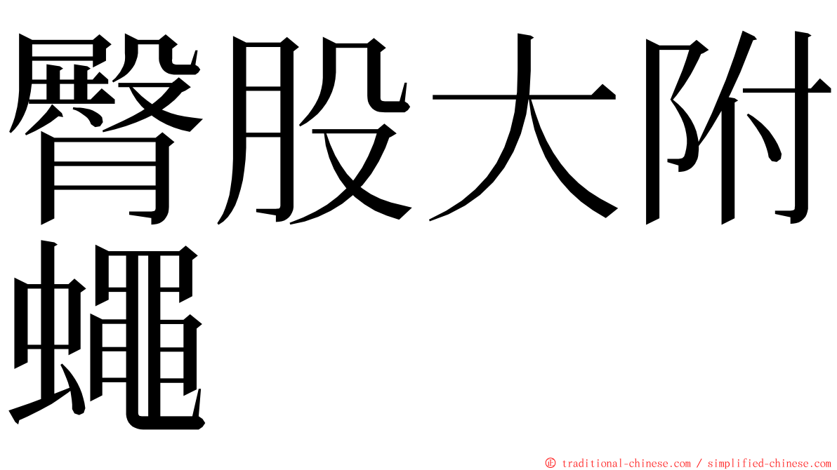 臀股大附蠅 ming font