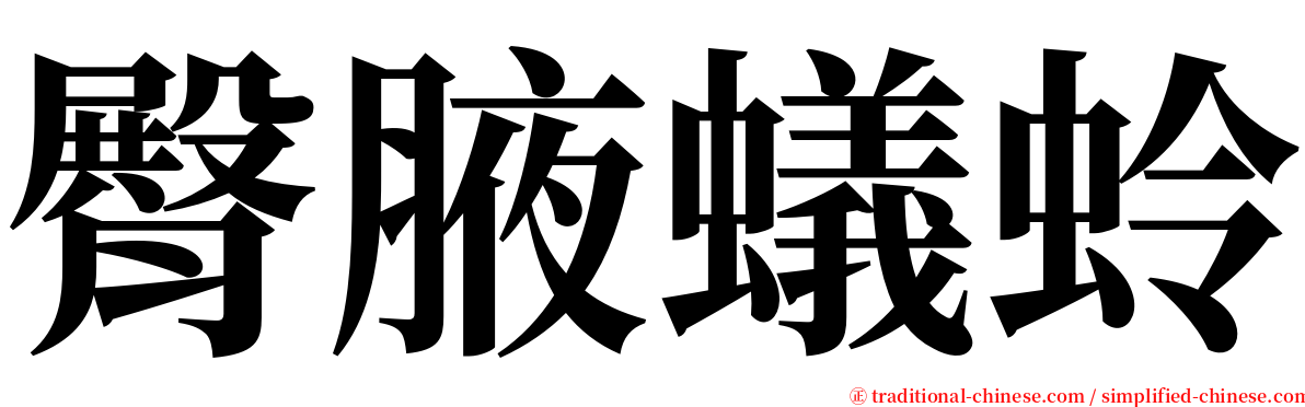 臀腋蟻蛉 serif font