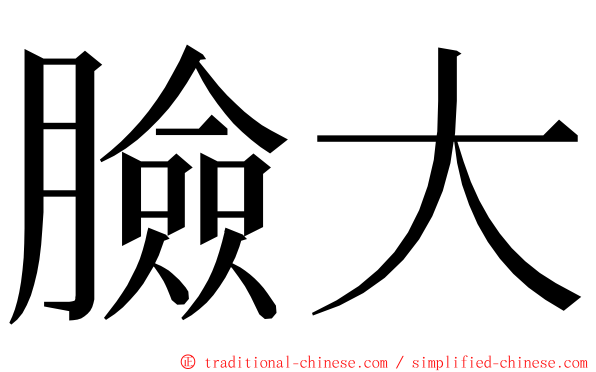 臉大 ming font