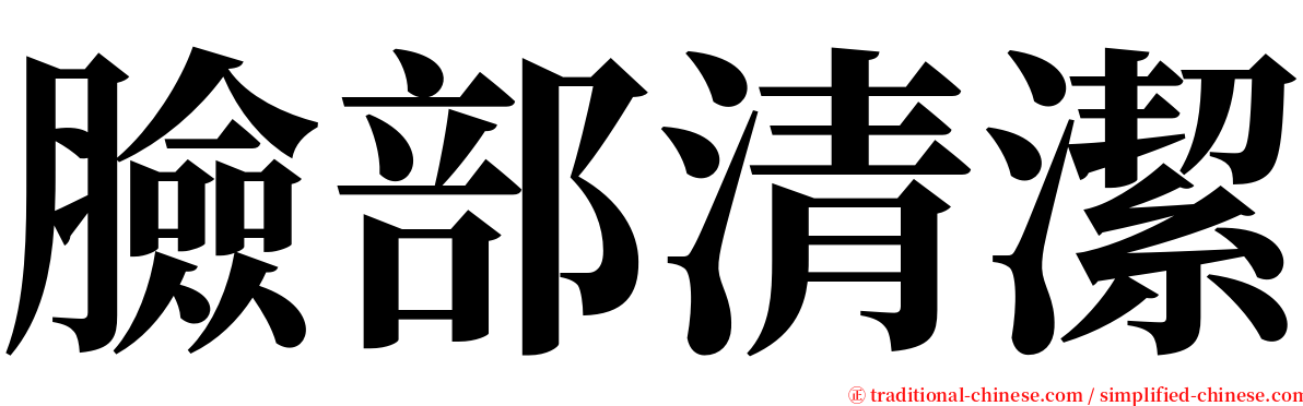 臉部清潔 serif font