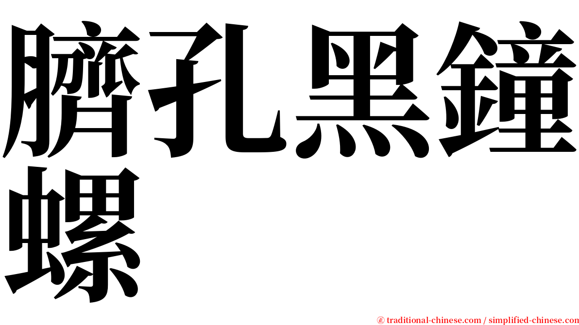 臍孔黑鐘螺 serif font